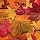 *NEW* HD Autumn Wallpapers New Tab Theme