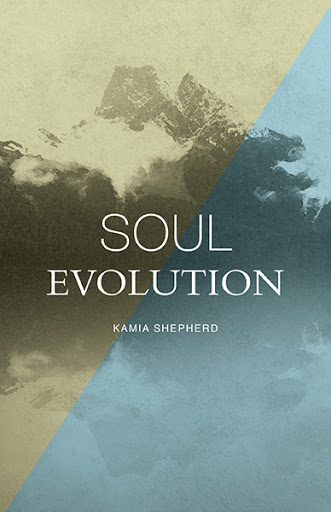 Soul Evolution cover