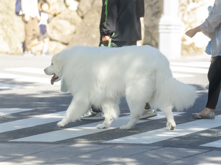 の投稿画像10枚目