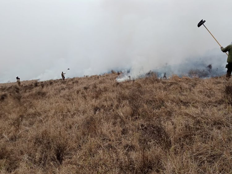 A previous fire in Tsavo.