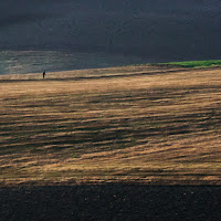 Il cacciatore di 