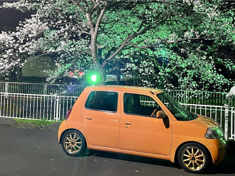 エッセのソメイヨシノ・桜パトロール・桜と愛車・夜桜・ナイトモードに関するカスタム事例の投稿画像2枚目