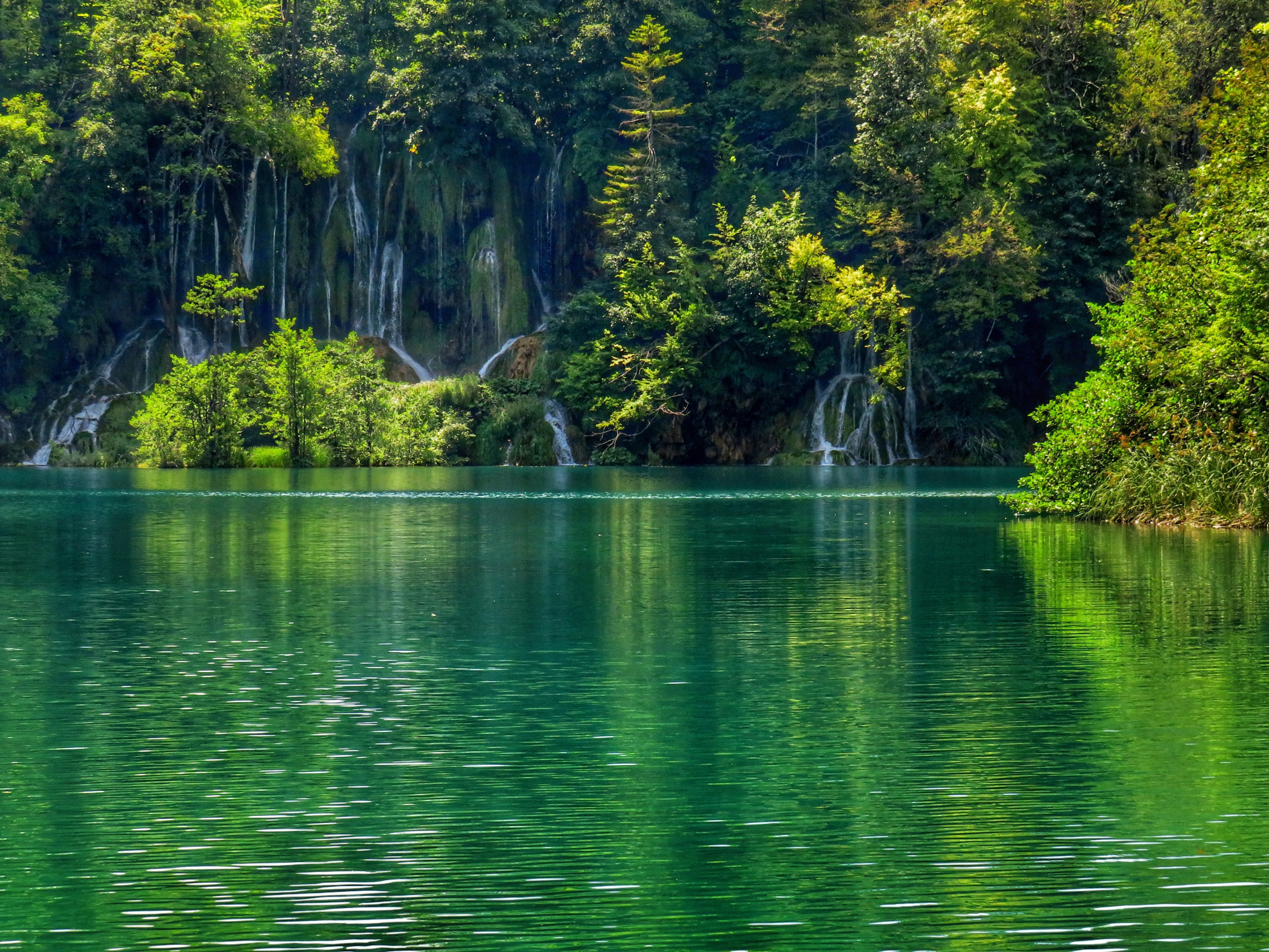 Sfumature di verde di Giorgio Lucca