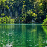 Sfumature di verde di 