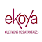 Item logo image for Avantages Ekoya