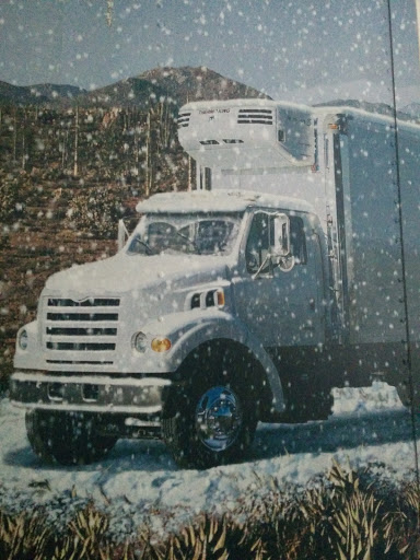 Frozen Thermo King Truck Mural