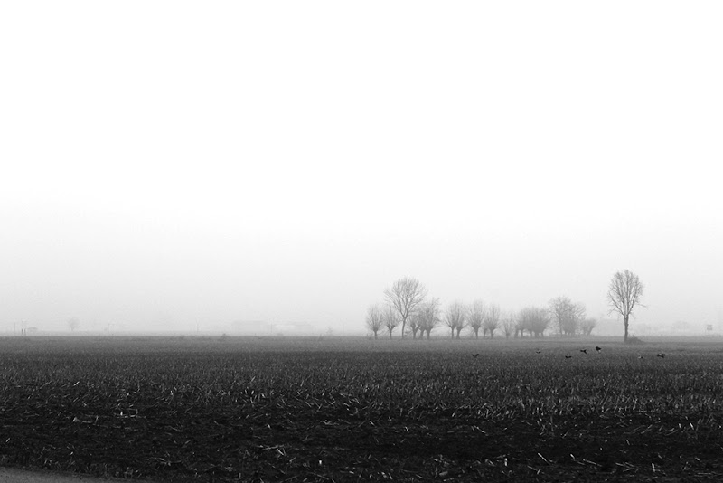 Ma la terra con cui hai diviso il freddo mai più potrai fare a meno di amarla. di LetiziaFenoglio