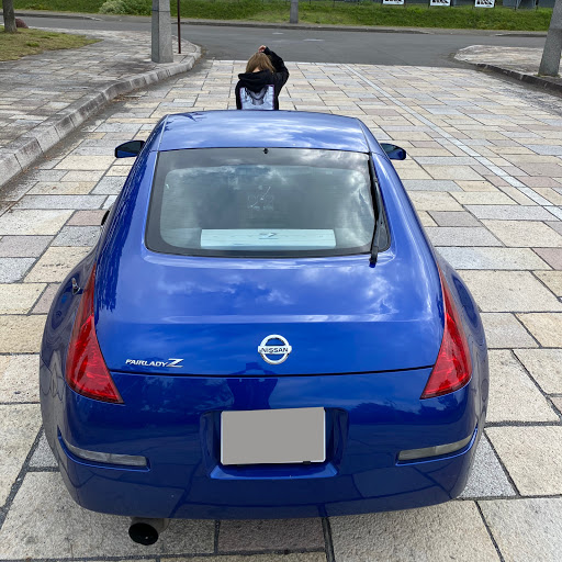 せのプロフィール画像