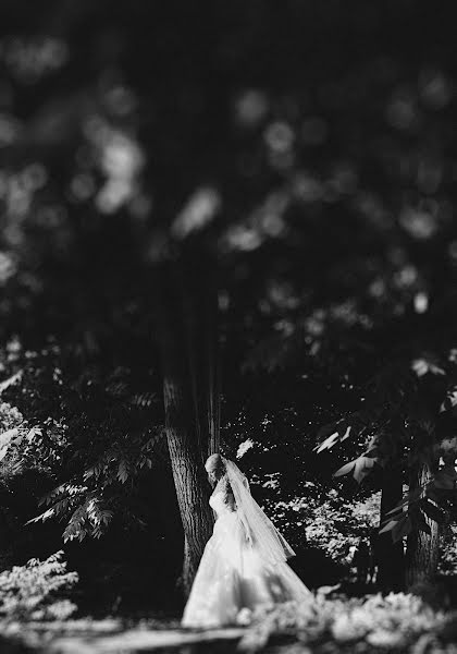 Photographe de mariage Yumir Skiba (skiba). Photo du 9 mars 2014