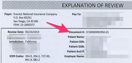 Payer Claim Control Number | DaisyBill