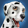 DogWorld  icon