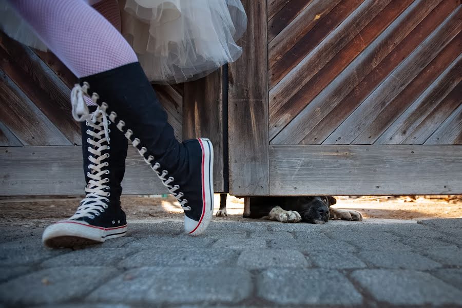 Fotografo di matrimoni Arkadiy Umnov (umnov). Foto del 20 giugno 2023