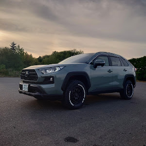 RAV4 MXAA54