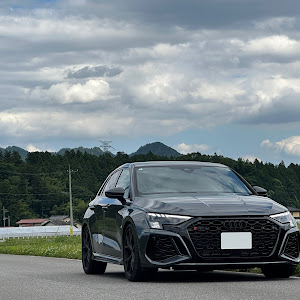 RS3 スポーツバック