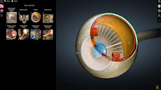 AnatomyLearning 3D OFFLINE - FULL UNLOCKEDのおすすめ画像4