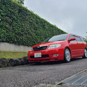 カローラフィールダー ZZE123G