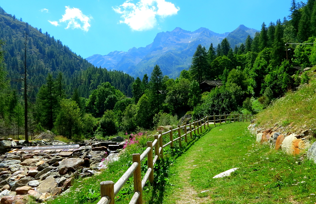 Verde naturale... di MauroMgl