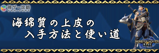 海綿質の上皮