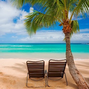 Download Summer Live Wallpaper APK