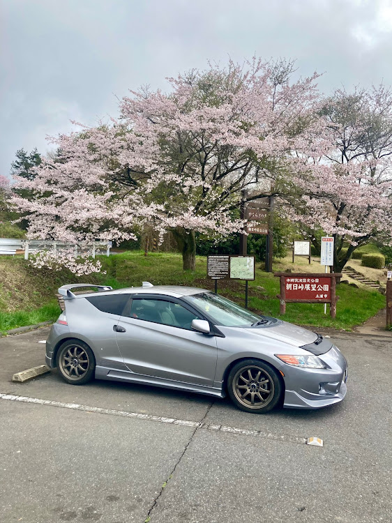 CR-Zの4月もよろしくお願い致します🌸・サクラと愛車・SW20・毎月8日はリトラの日・お花見オフに関するカスタム事例の投稿画像1枚目