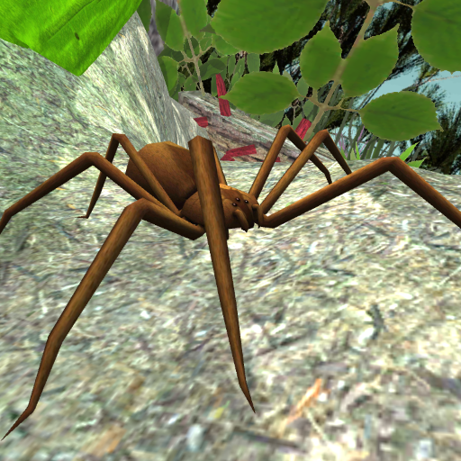 Spider Simulator icon