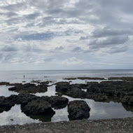 海龜咖啡 SeaTurtle Cafe