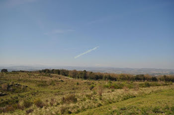 propriété à Limoux (11)