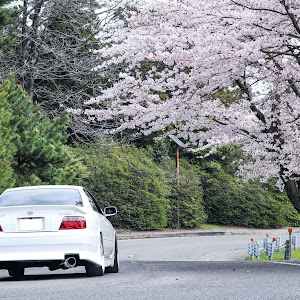 チェイサー JZX100