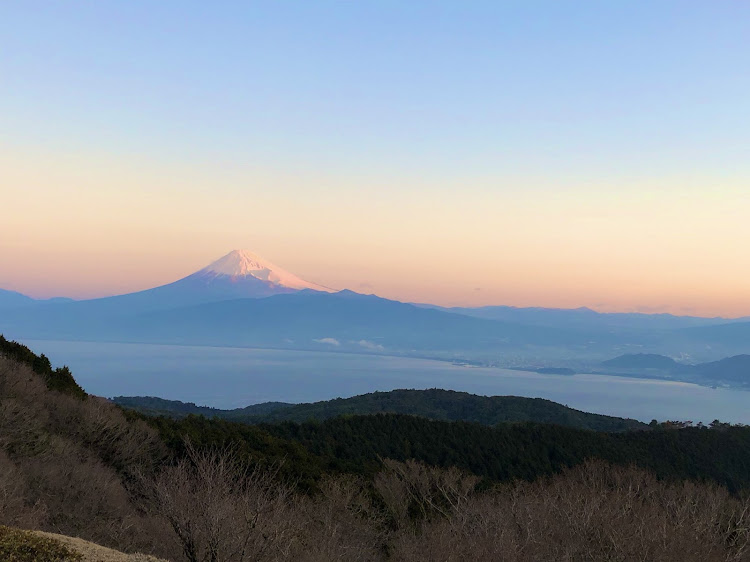 の投稿画像2枚目