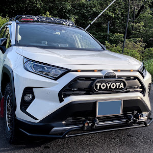 RAV4 AXAH54
