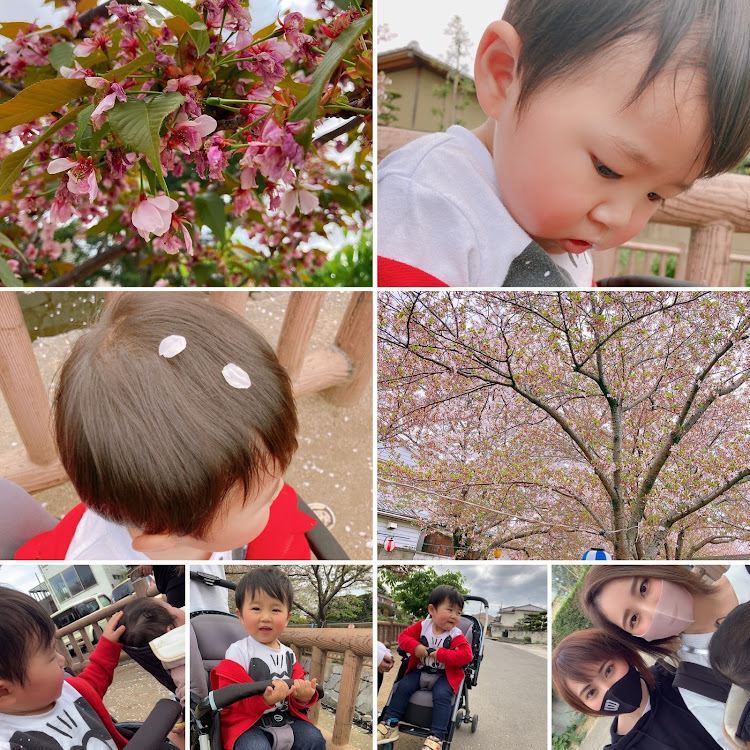 さやかさんが投稿した桜に関するカスタム事例の投稿画像1枚目