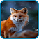 Fox Wallpapers 4K icon