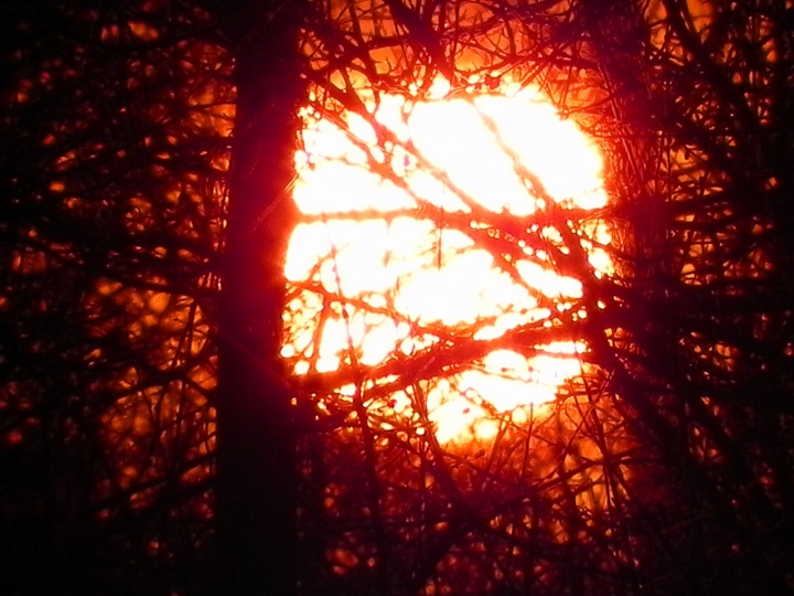 Un tramonto aggrovigliato di malikkite