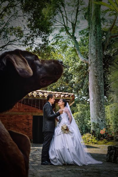 Photographe de mariage Mario Pachón (maostudio1975). Photo du 15 juillet 2020