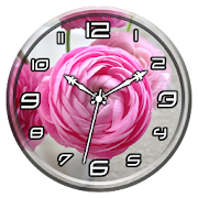 Ranunculus Clock Live WP  Icon