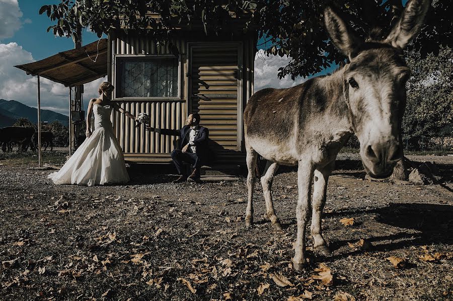 Hochzeitsfotograf Egor Matasov (hopoved). Foto vom 13. Februar 2019