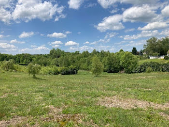 terrain à Saint-Priest-de-Gimel (19)