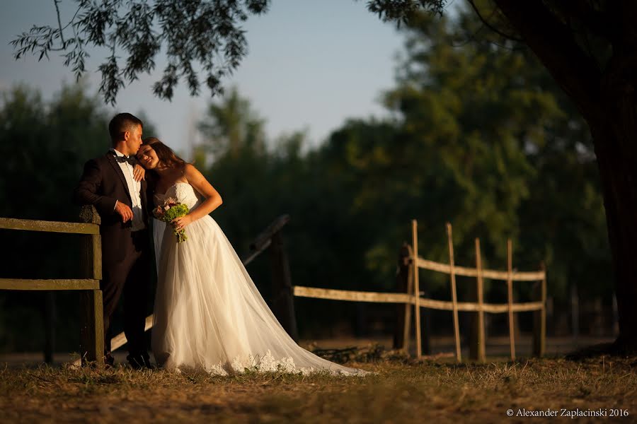 Fotografo di matrimoni Aleksandr Zaplacinski (zaplacinski). Foto del 11 agosto 2016