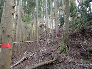 左のトラパース道を進む