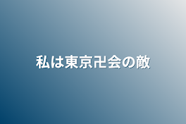 私は東京卍会の敵