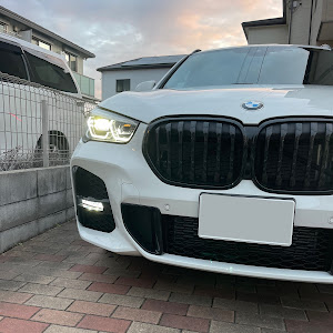 X1 xDrive 18d