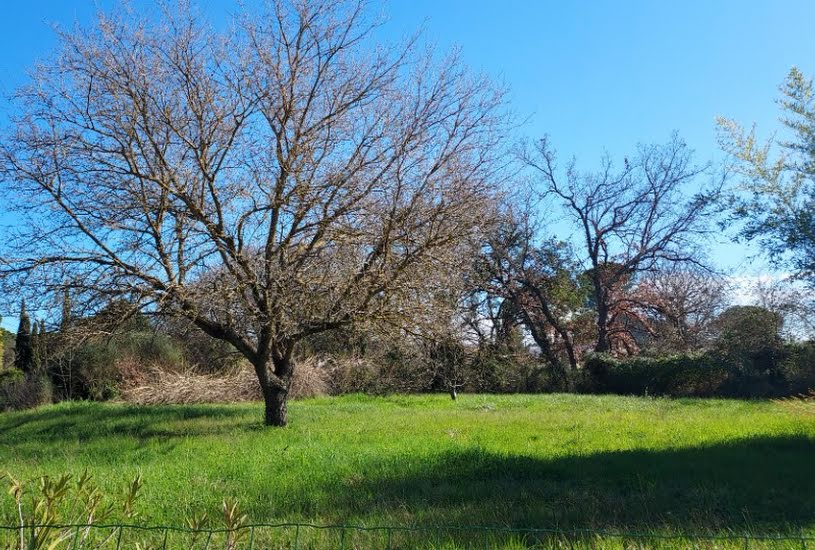  Vente Terrain à bâtir - 1 544m² à Vidauban (83550) 