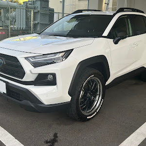 RAV4 AXAH54