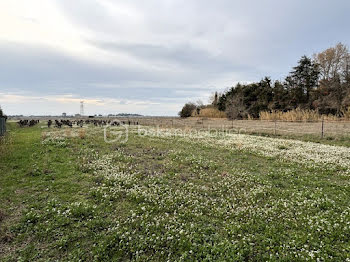 terrain à Pomérols (34)