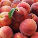 Peaches HD Wallpapers Fruit Theme