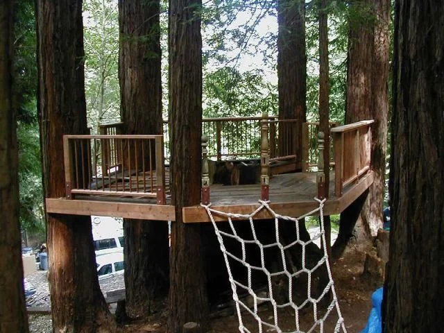 The Tree Deck