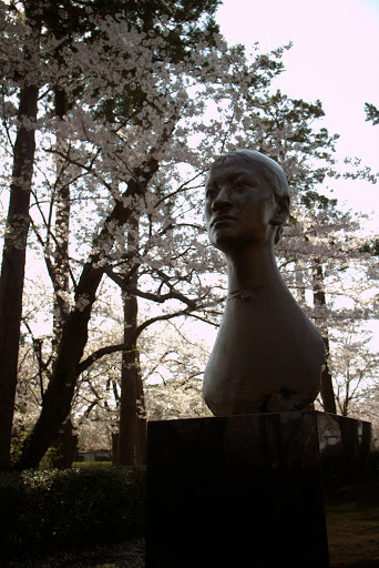 高田公園 ゆき