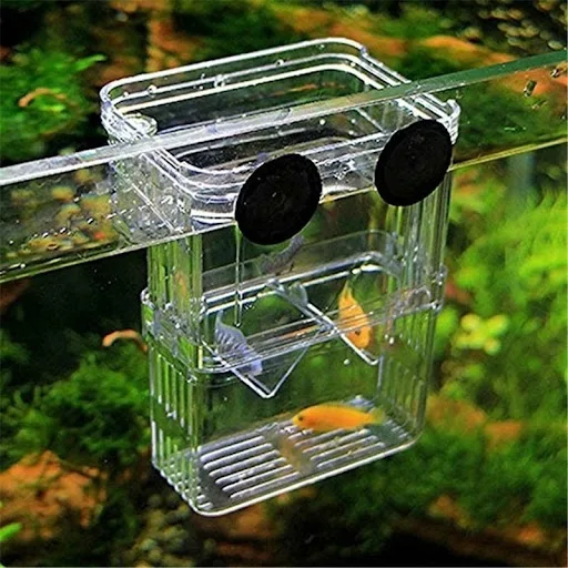 Multifunctional Fish Aquarium High Clear Fish Breeding Isolation Box Aquarium Breeder FishTank Double Guppies Hatching I