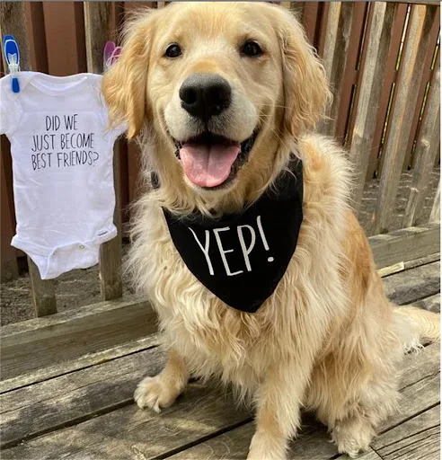 Matching Dog Bandana Set Did We Just Become Best Friends YEP Baby Pet Cushion Gift