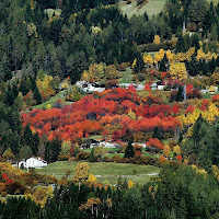 I colori dell'autunno di 